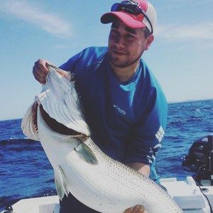 Meet your Posher, Van